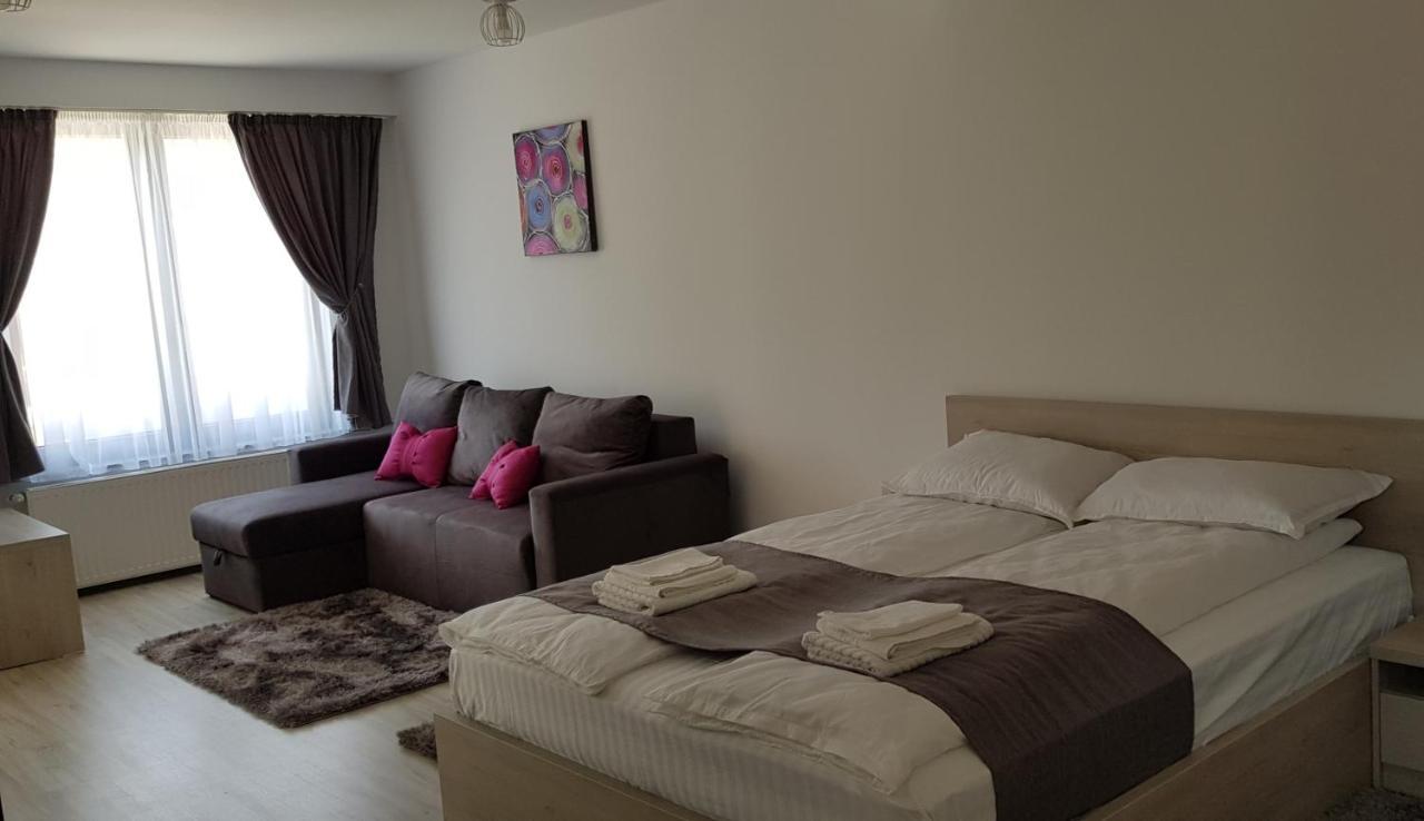 Casa Montis Ξενοδοχείο Borşa Εξωτερικό φωτογραφία